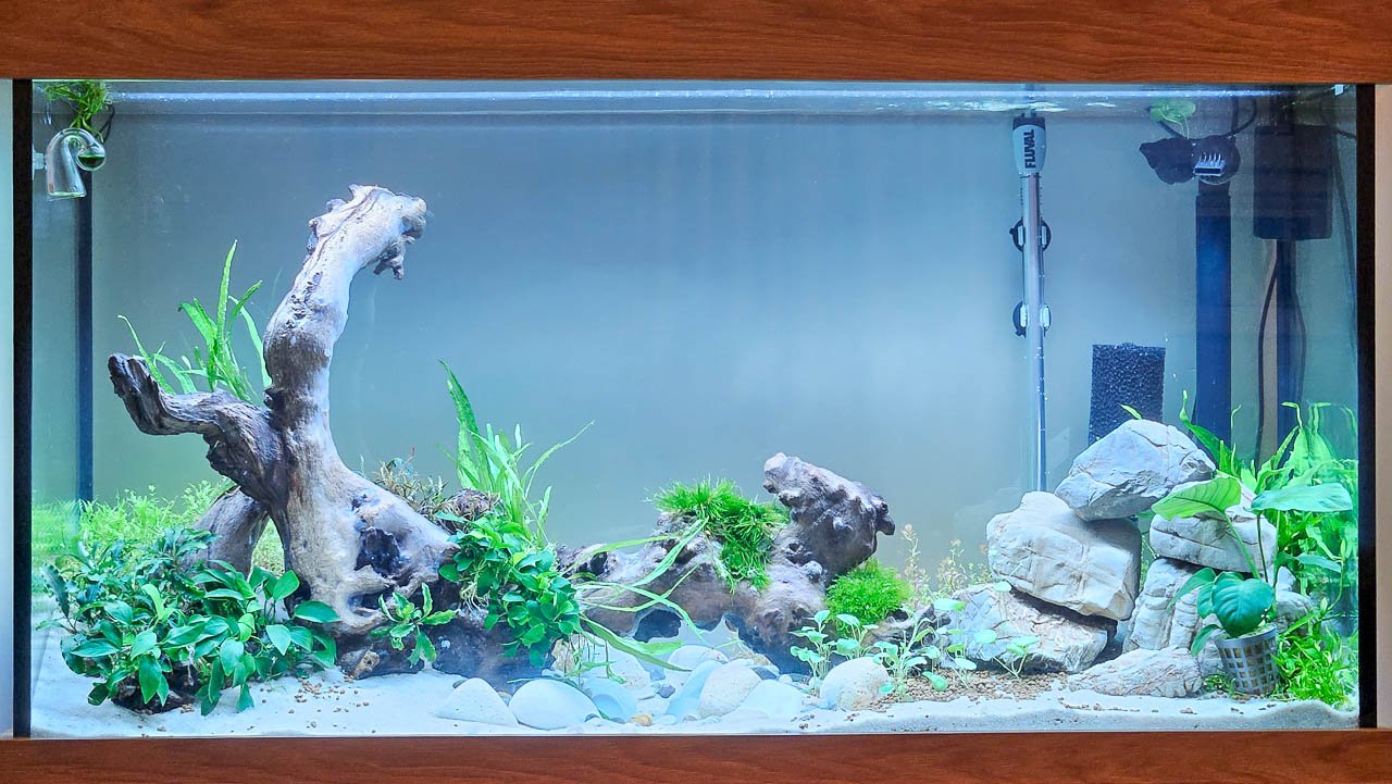 Fluval Shaker 252 Fish Tank