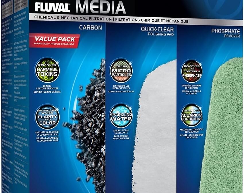 How to Load Your Canister Filter for Crystal Clear Water (The “Perfect Stack”)