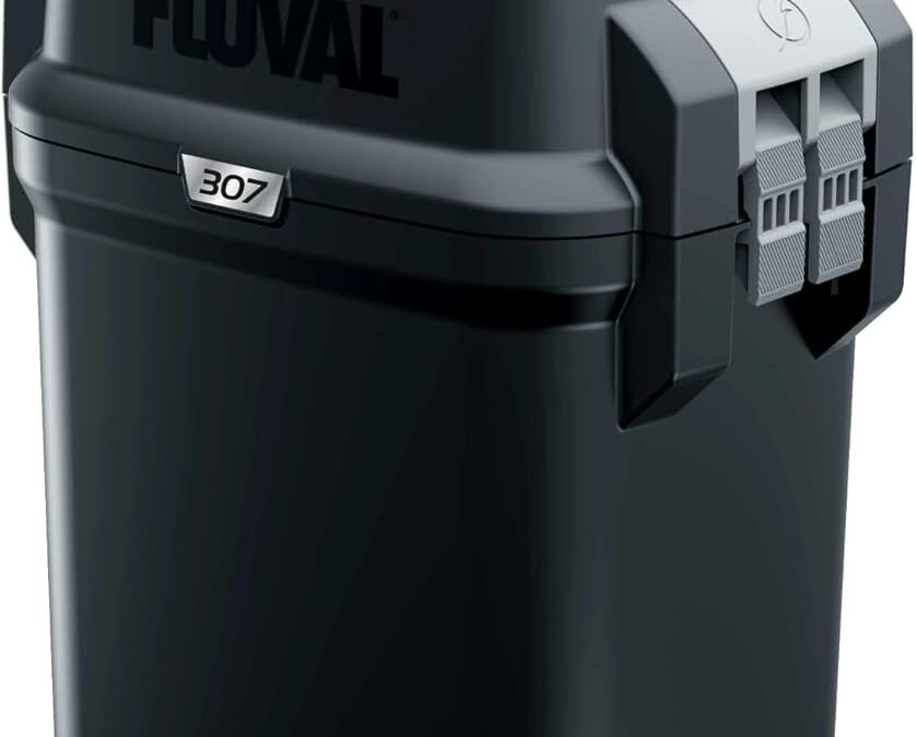 Fluval 307 Review: Is it Quiet Enough for a Bedroom Aquarium?